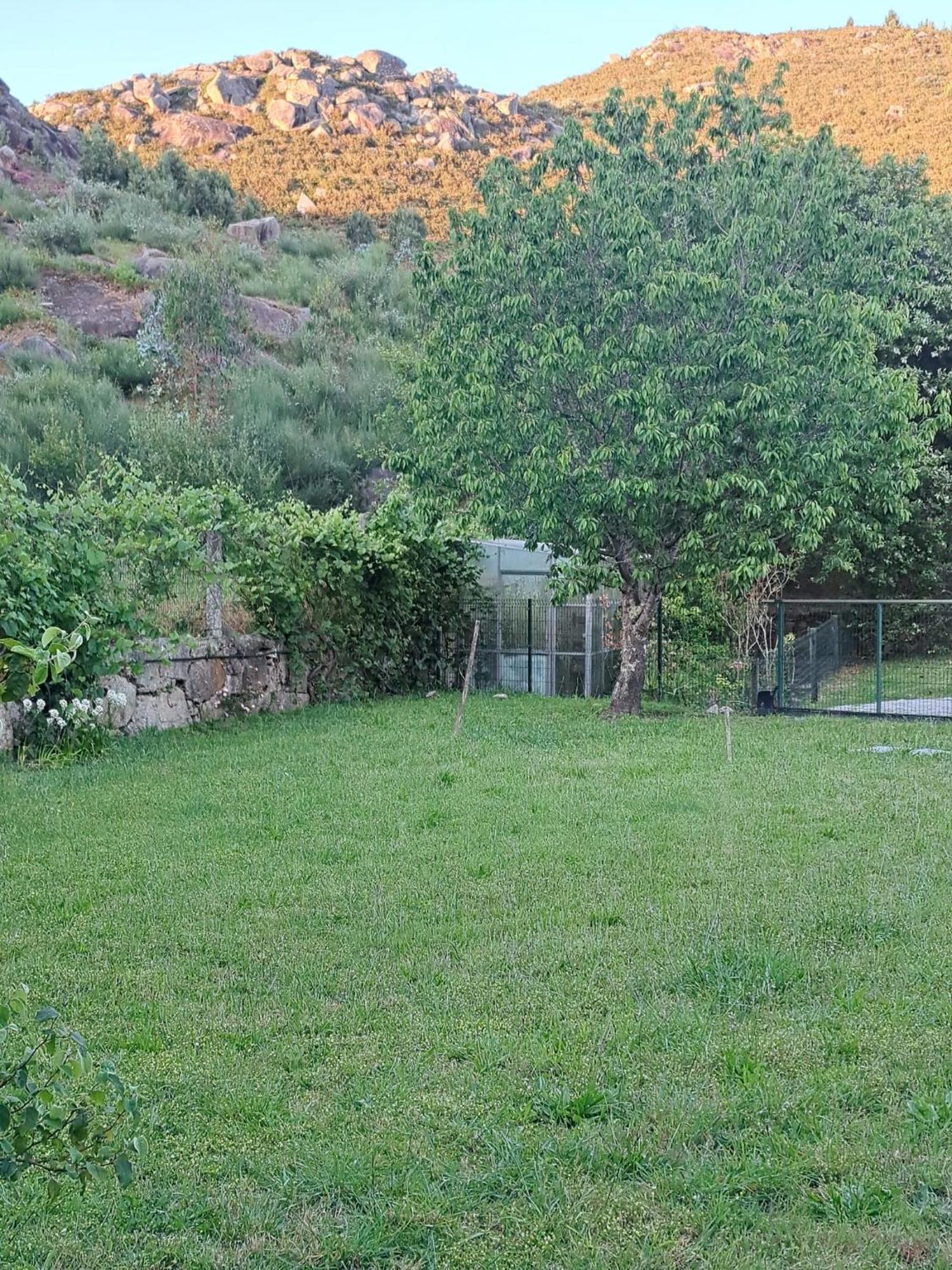 וילה נובה דה סרביירה Quinta Das Mineirinhas מראה חיצוני תמונה